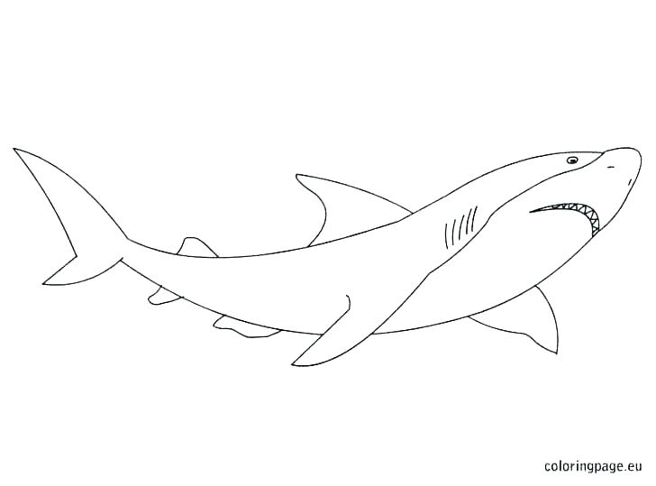 728x539 Sharks Coloring Pages Shark Coloring Pages Coloring Page
