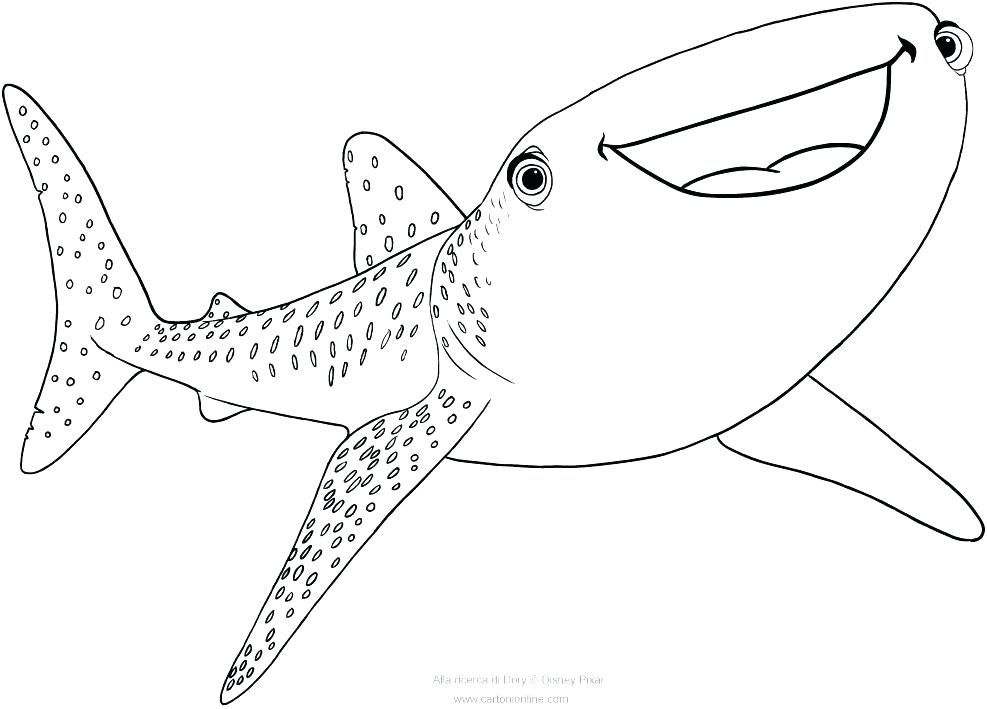 987x709 Sharks Coloring Pages Shark Pictures To Color And Print Destiny