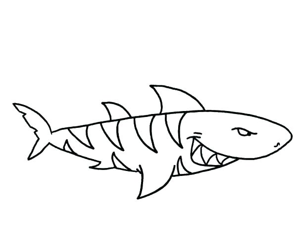 600x454 Sharks Coloring Pages Sharks Coloring Page Shark Coloring Page