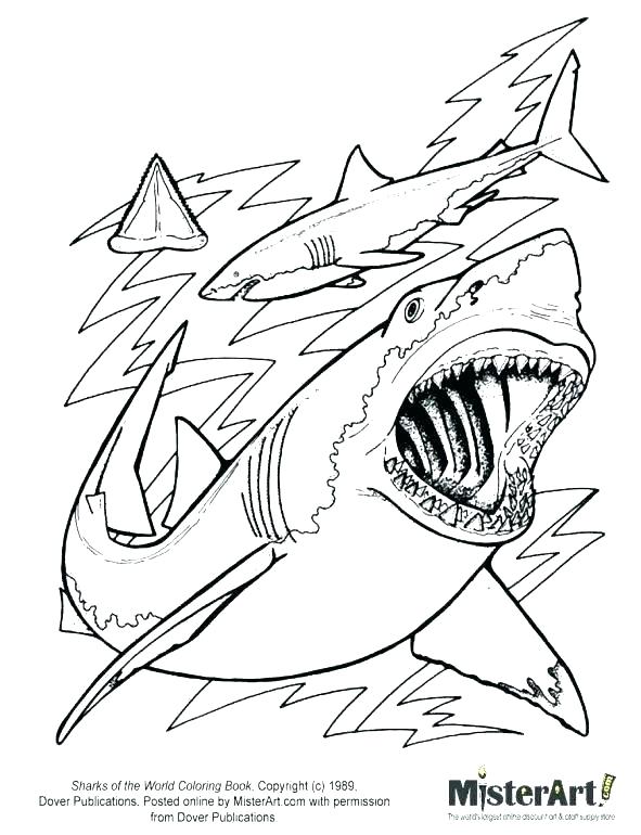 591x770 Sharks Coloring Shark Coloring Pages Free Printable Shark Coloring