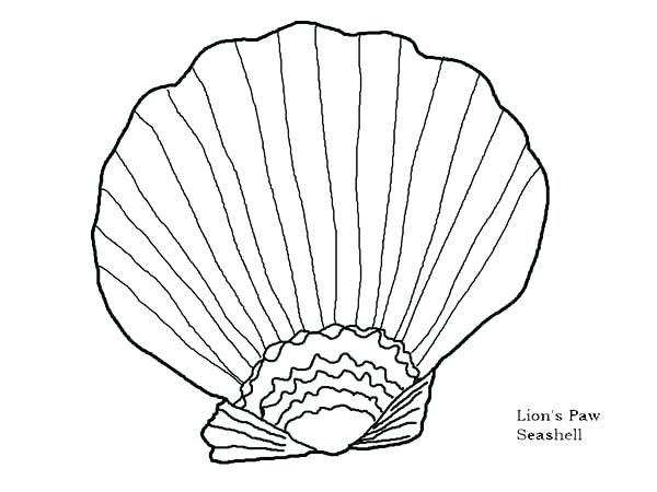 600x450 Sea Shell Coloring Pages Seashell Shell Clip Art Black And White