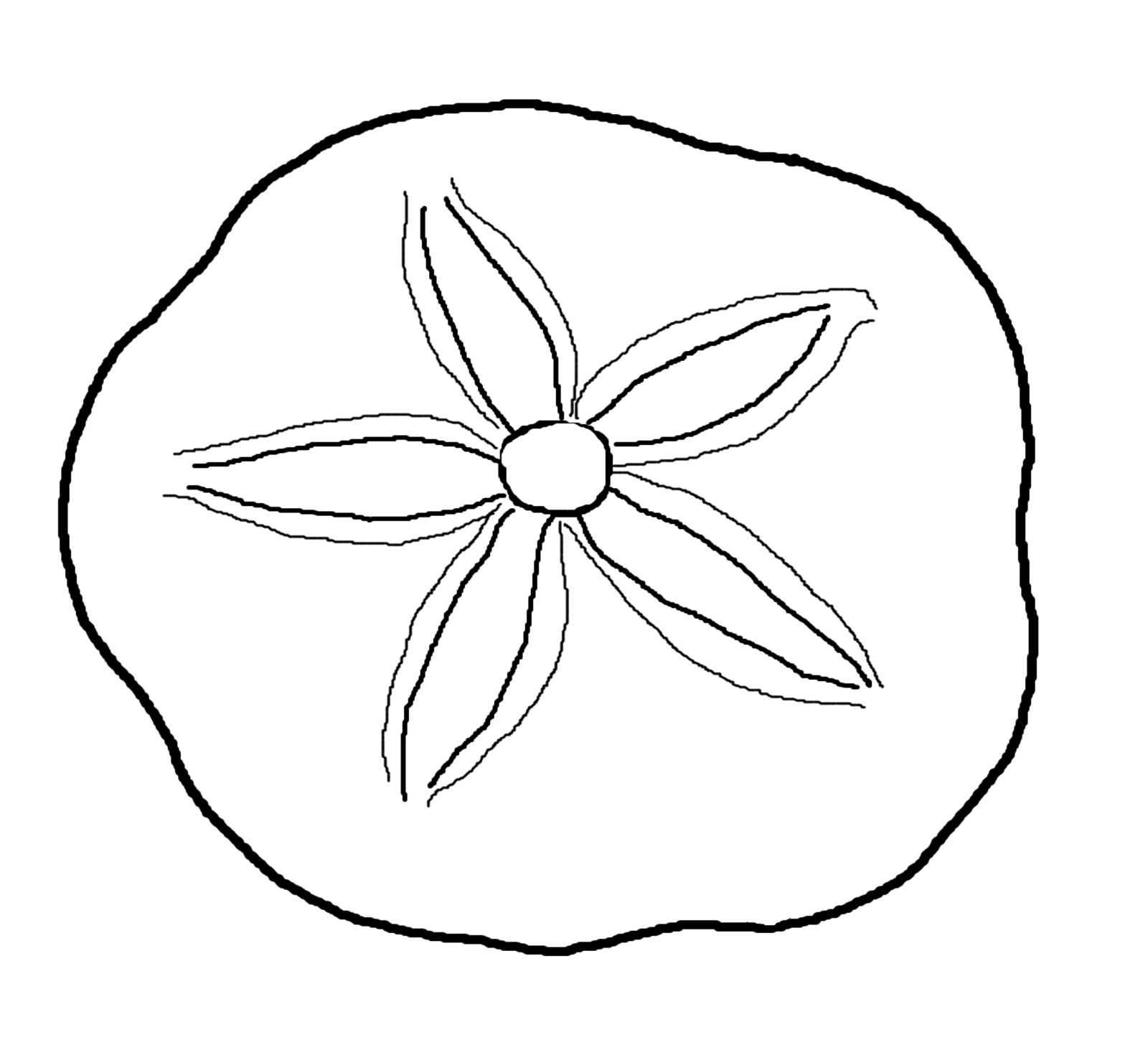 1600x1456 Sea Life Clipart Sand Dollar Sand Dollar Clip Art Free