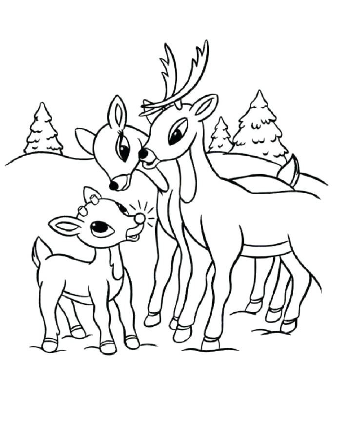 695x900 Free Reindeer Coloring Pages Print Reindeer And Family Coloring