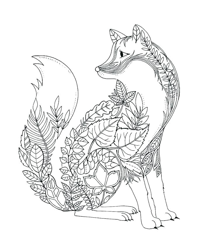 750x849 Fox Coloring Free Printable Arctic Fox Coloring Pages