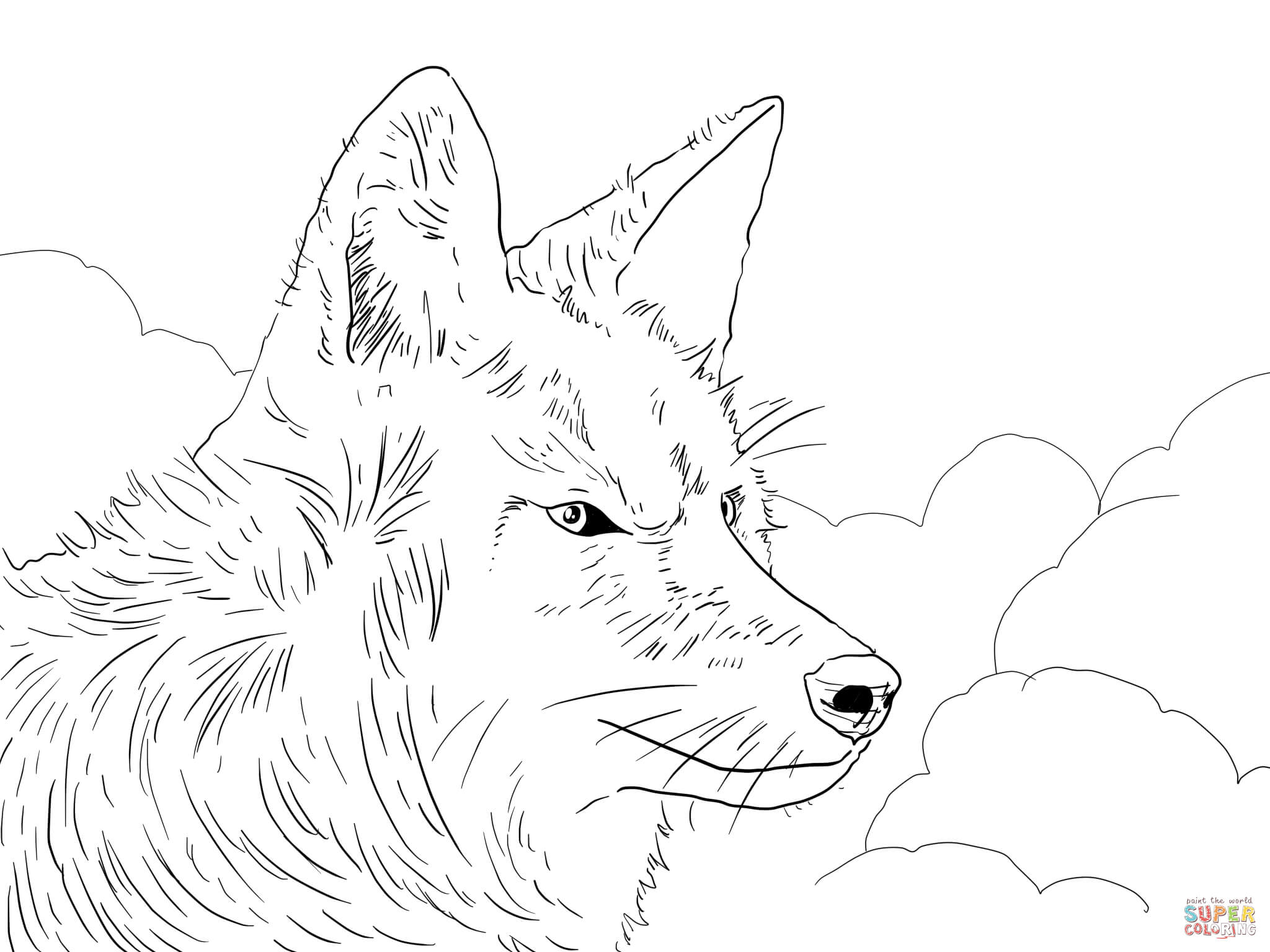 2048x1536 Wondrous Design Super Coloring Pages Coyote Head Page Free