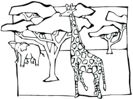 440x330 Coloring Pages African Animals Pics Photos Savanna Animals