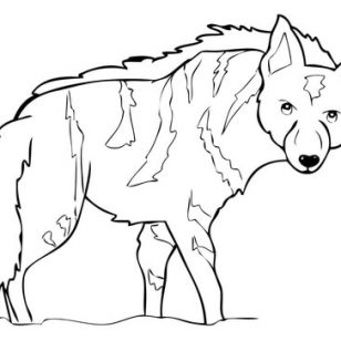 Savannah Coloring Page at GetDrawings | Free download