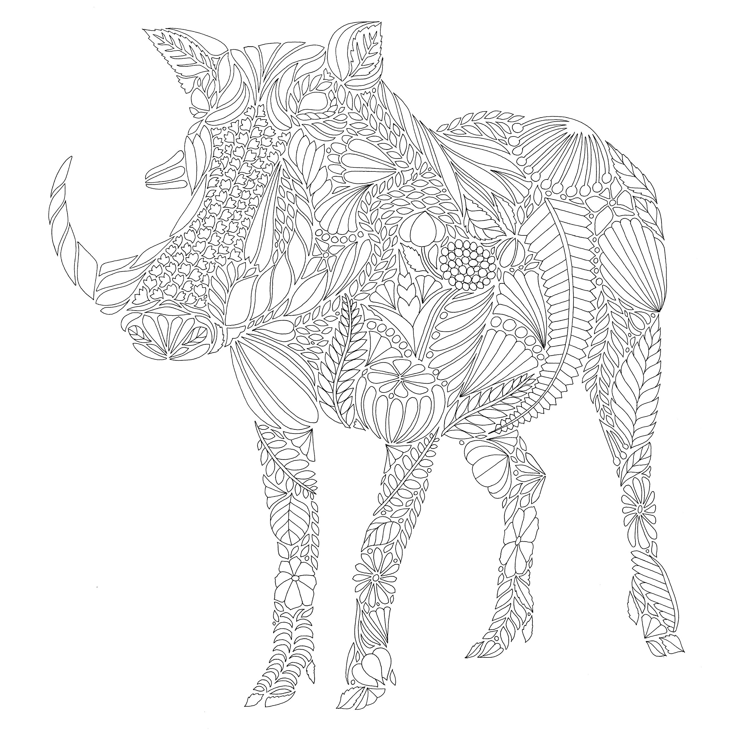 2560x2560 Noted Wild Savannah Coloring Pages Millie Maro