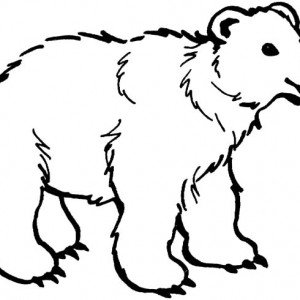 300x300 Scary Brown Bear Coloring Pages Scary Brown Bear Coloring Pages