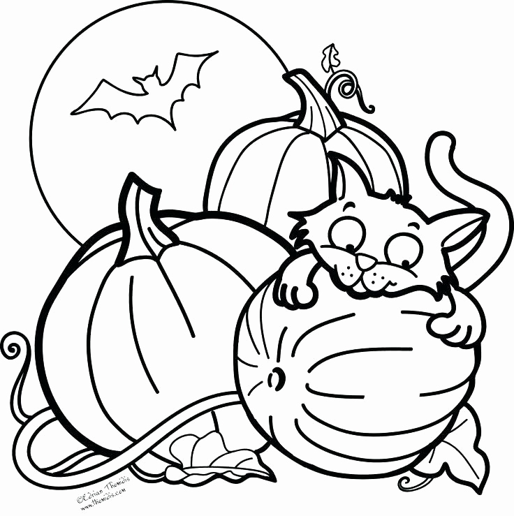 736x739 Scary Black Cat Coloring Pages Images Scary Halloween Coloring