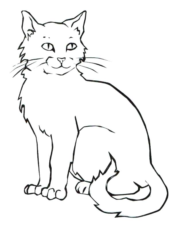 610x784 Black Cat Coloring Page Scary Black Cat Ring Pages Page Animal