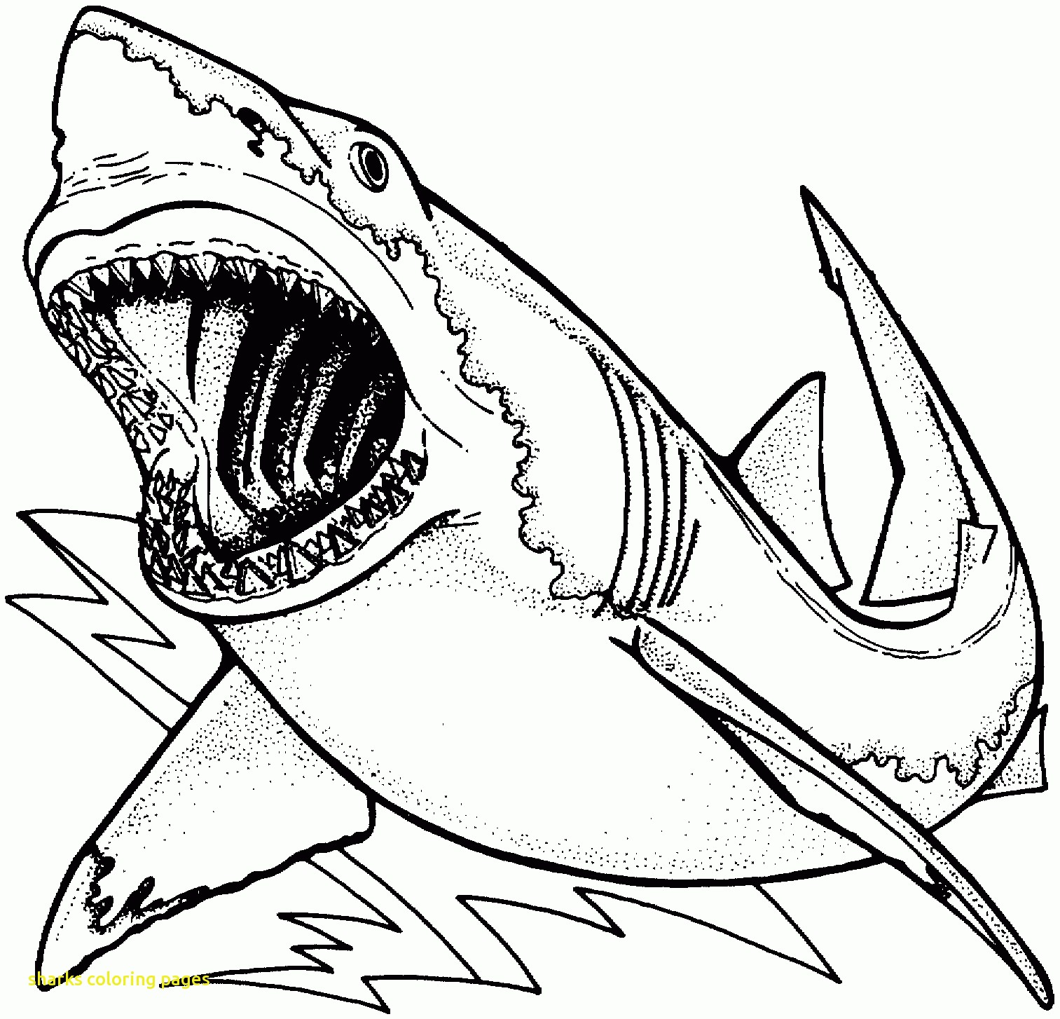 1513x1454 Great White Shark Coloring Pages Sharks With Printable Inside