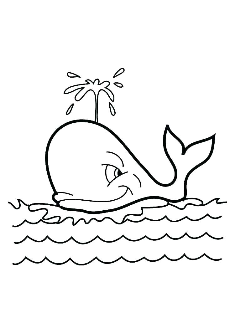 750x1000 Shark Color Pages Whale Shark Coloring Page Whale Coloring Page