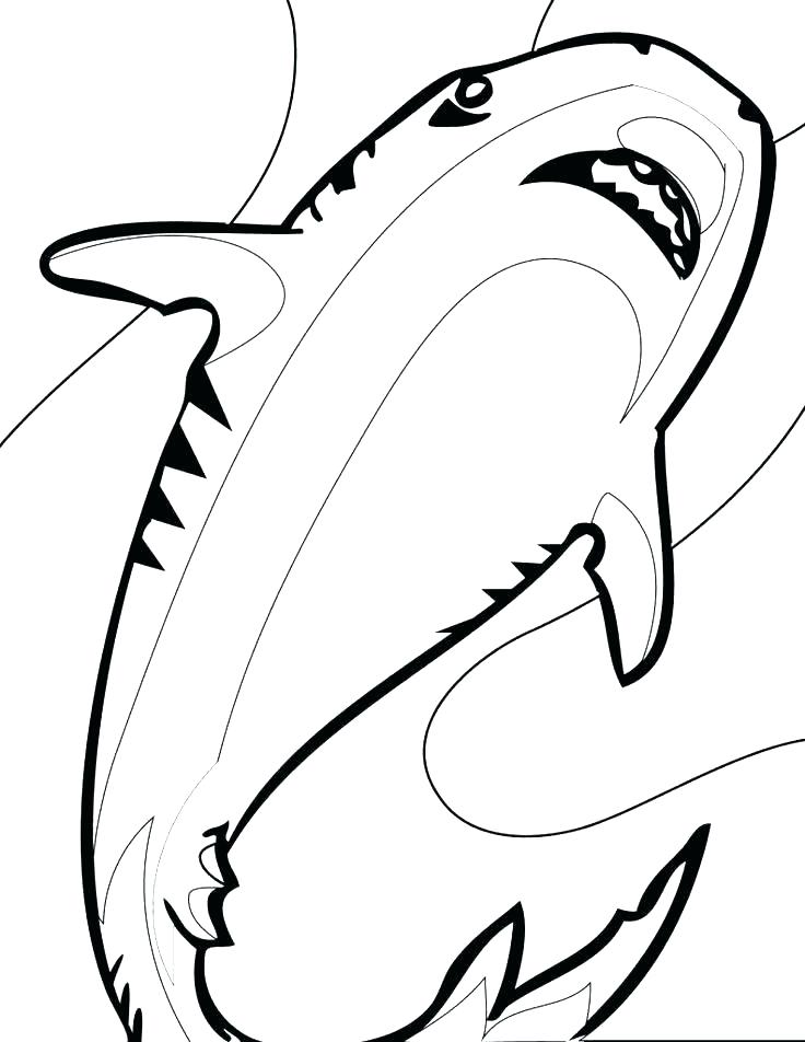 736x952 Shark Coloring