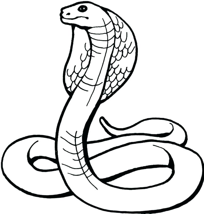810x852 Coloring Pages Of Snakes Snake Coloring Pages Snake Snake Coloring