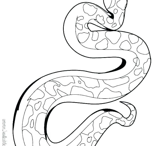 678x600 Coloring Pages Snakes Coloring Pages For Teens Snakes Page Snake
