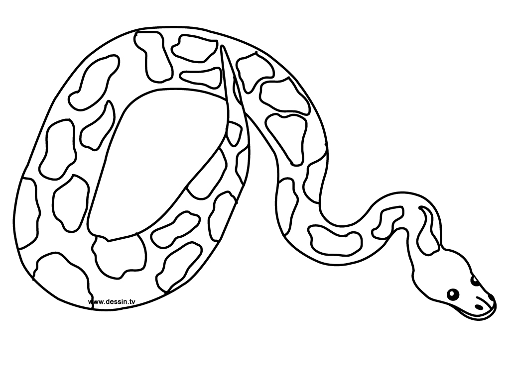1024x768 Exciting Coloring Pages Of A Snake Free Printa