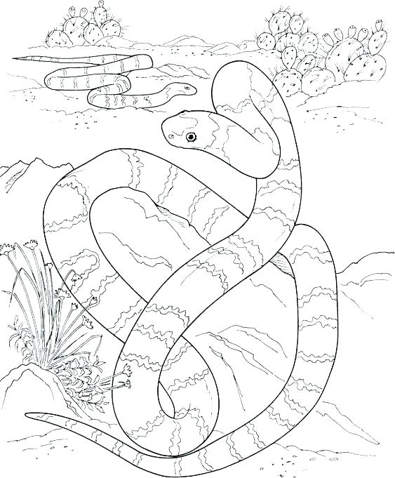 563x681 Snake Coloring Pages Fresh Coloring Pages And Snake Coloring Pages