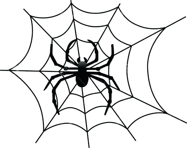 618x491 Spider Web Coloring Page With Spider Web Coloring Pages Printable