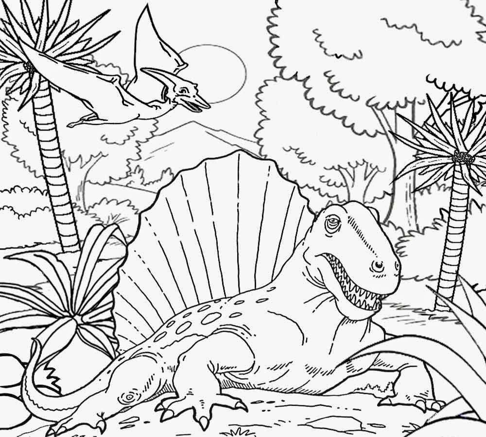 1000x900 School Age Coloring Pages