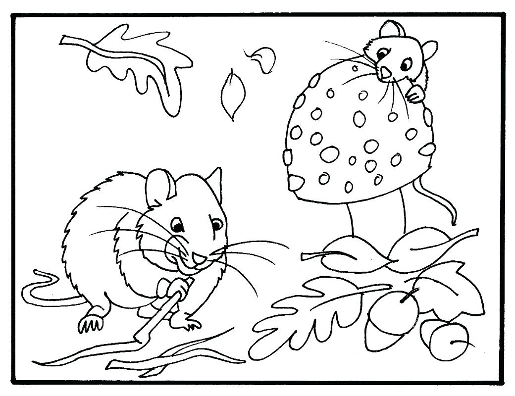 1040x800 Coloring Pages Fall Coloring Page Adult Autumn Pages Printable