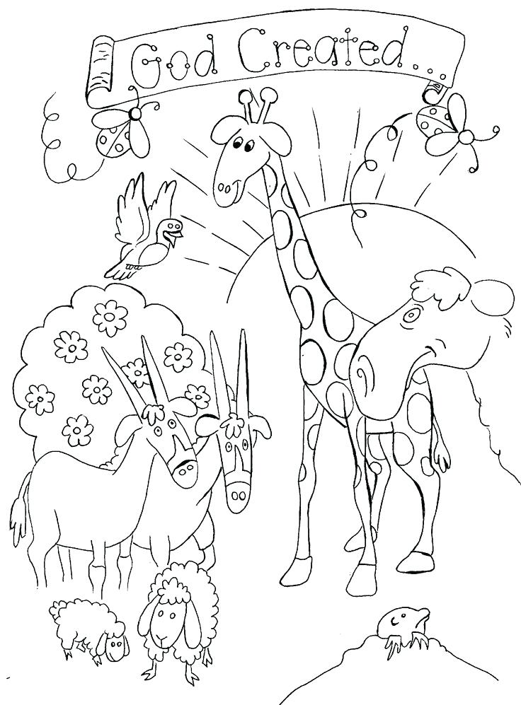 736x997 Sunday School Coloring Pages Free Creation Coloring Pages Cute