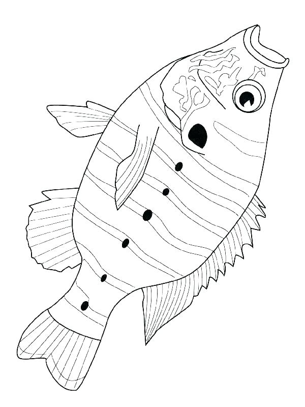 600x800 School Of Fish Coloring Pages Loaves And Fishes Coloring Page Five
