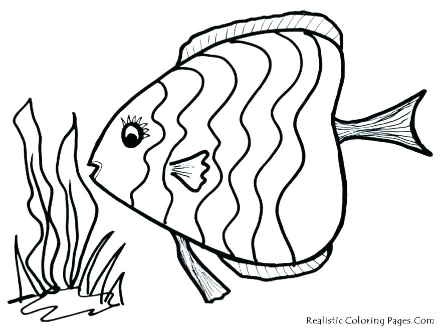 878x659 Fish Coloring Page Clown Fish Coloring Page Co Fish Coloring Pages