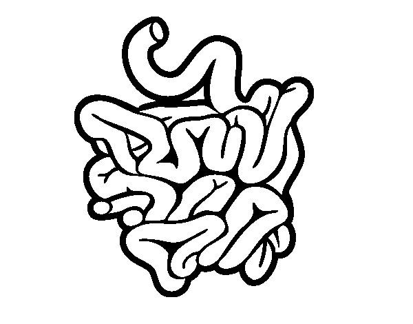 600x470 Small Intestine Black And White Coloring Pages