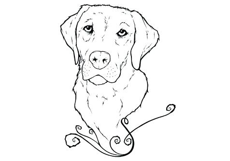 476x333 Yellow Lab Coloring Pages Yellow Lab Head Coloring Pages Golden