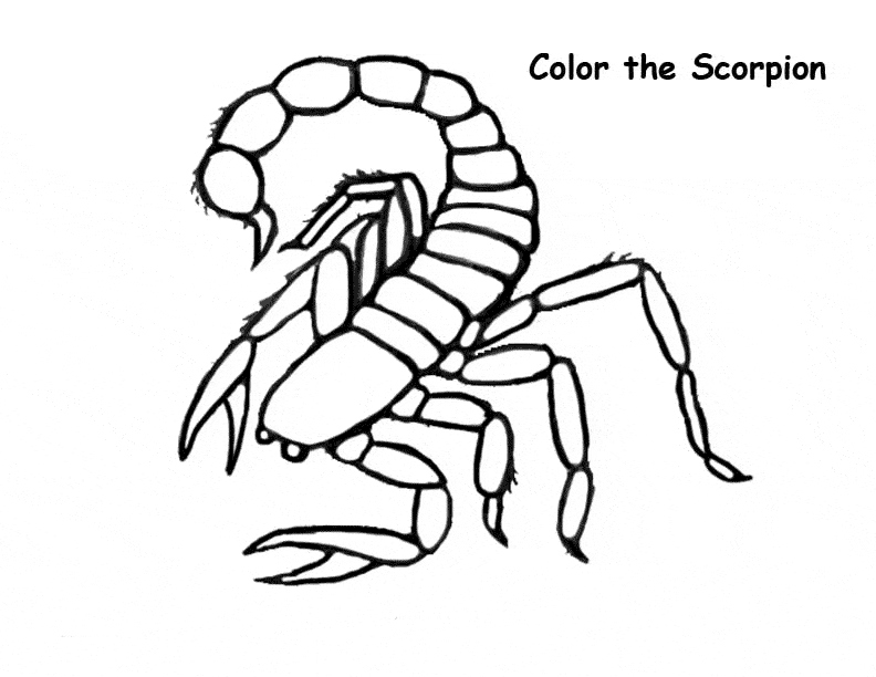 Scorpio Coloring Pages