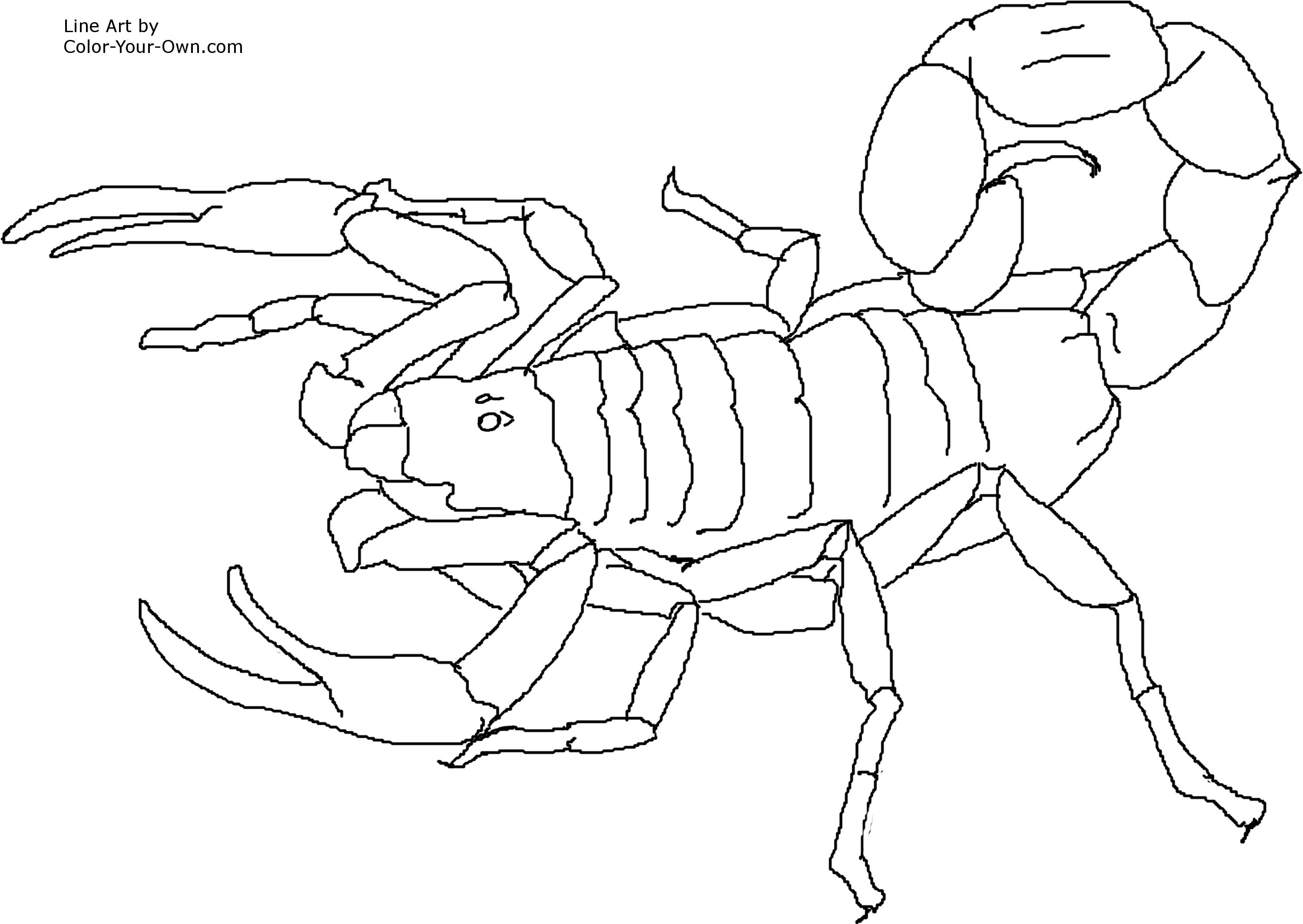 3000x2129 Part Coloring Pages For Kids