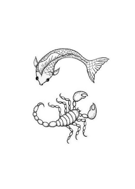 457x640 Elegant Scorpion Coloring Pages