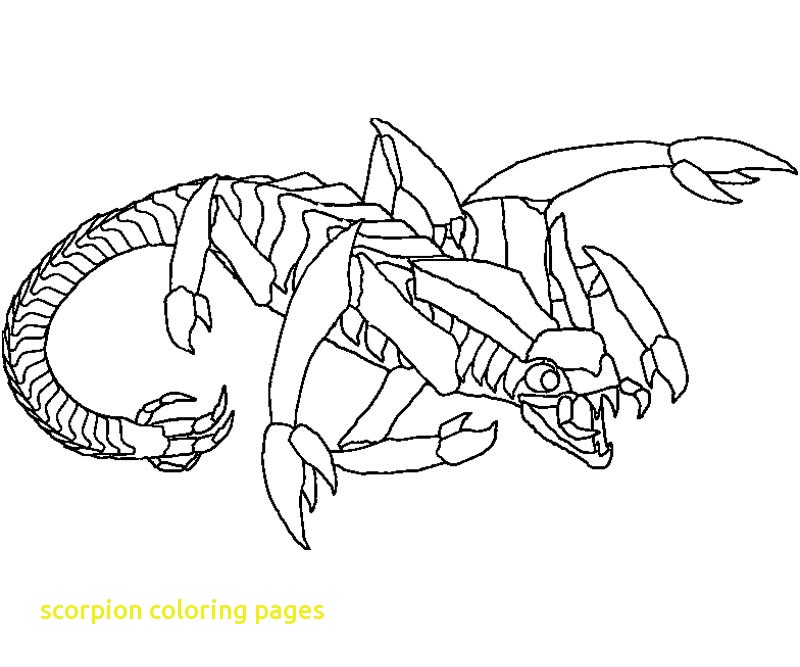 800x667 Scorpion Coloring Pages