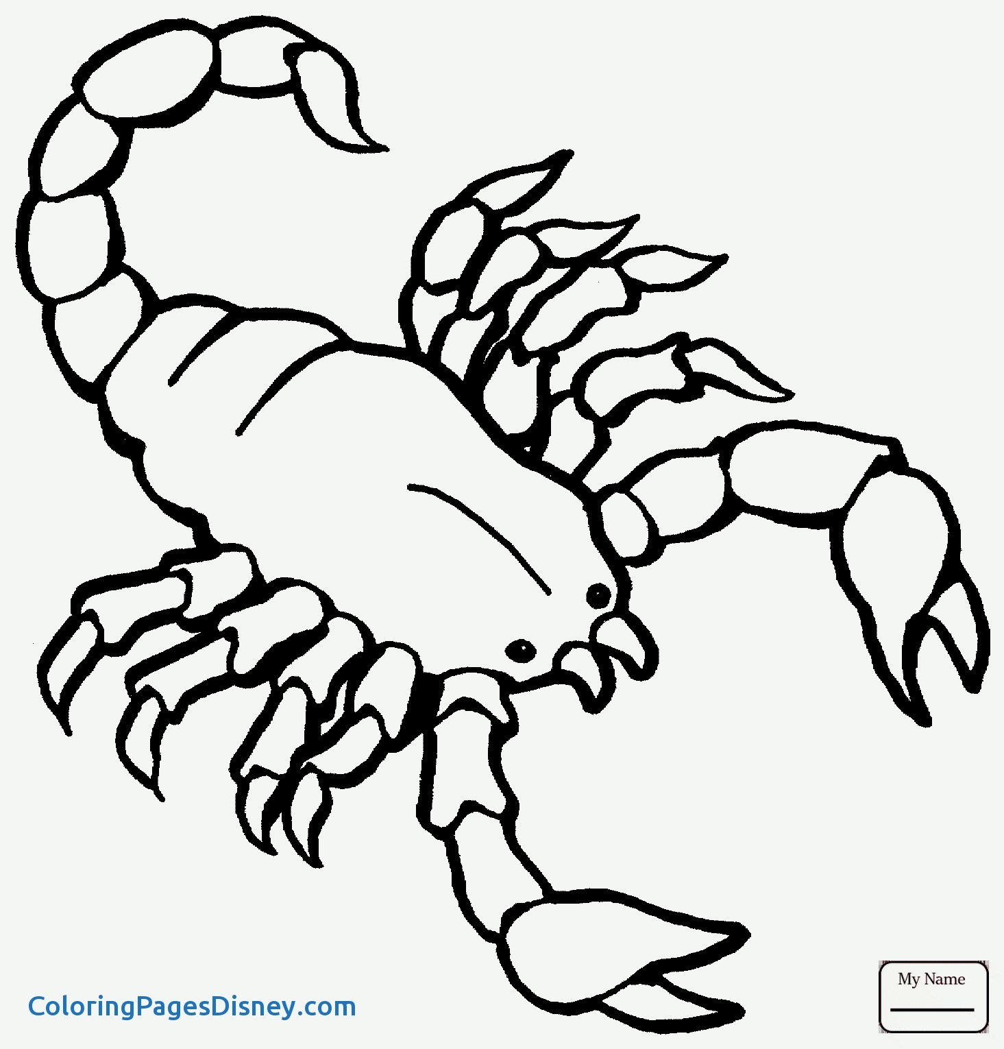 1465x1530 Scorpion Coloring Pages Unique Page Rockandreillysnyc Find