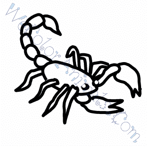 300x300 Scorpion Coloring Pages