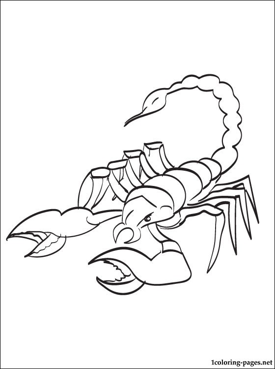 560x750 Scorpion Coloring Page To Print Out Coloring Pages