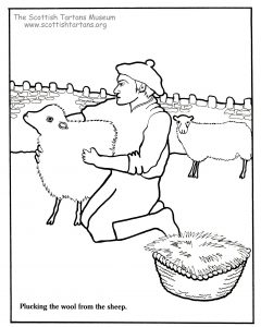 240x300 Scotland Coloring Pages For Kids Atkinson Flowers Outstanding