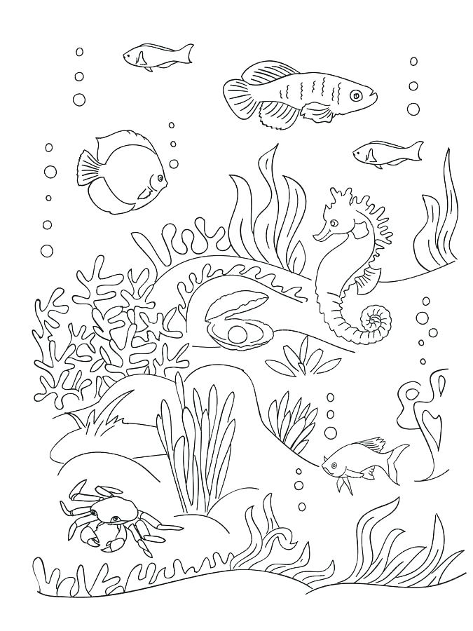 Sea Anemone Coloring Page at GetDrawings | Free download