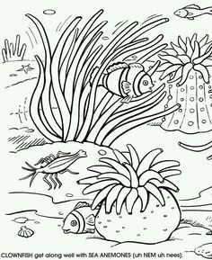 236x289 Underwater Sea Life Coloring Pages Finger Paint Sea Creatures