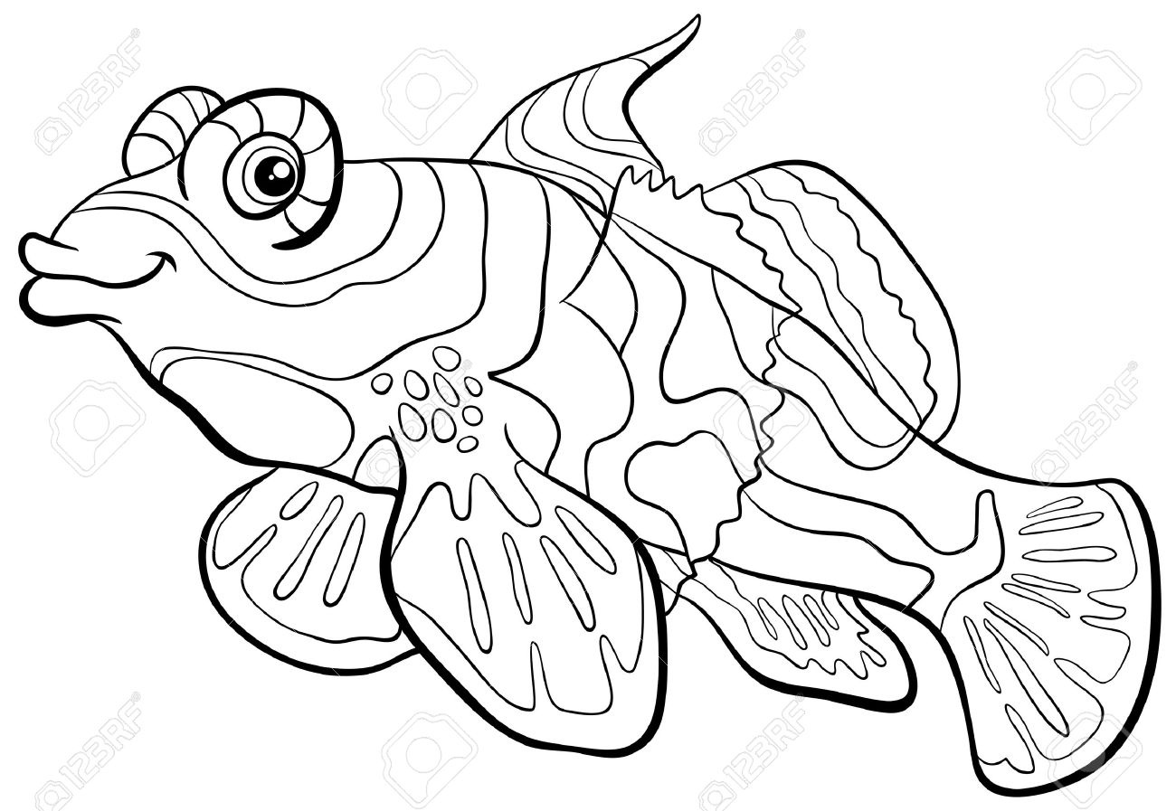 1300x897 Inspirational Black And White Cartoon Illustration Mandarin Fish