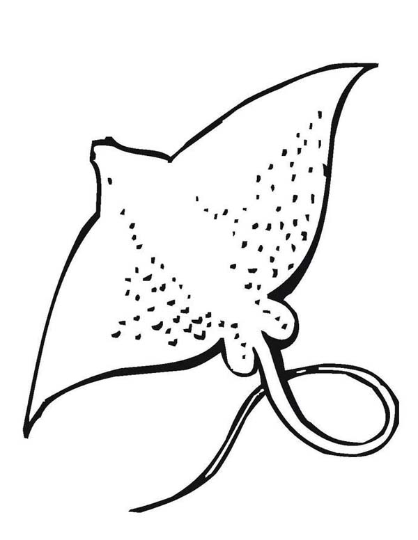 600x776 Giant Stingray Free Sea Animals Coloring Page