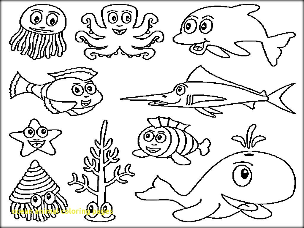 1024x768 Greatest Sea Animal Printables Coloring Pages Free Printable Ocean