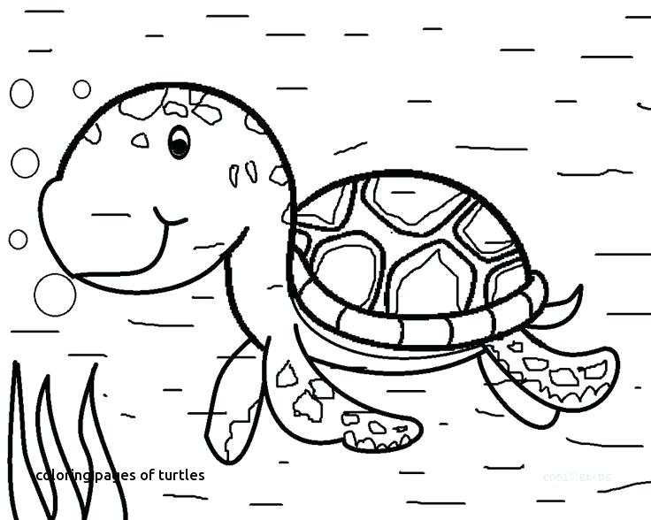 736x588 Ocean Animal Coloring Pages Water Animals Coloring Pages Fancy