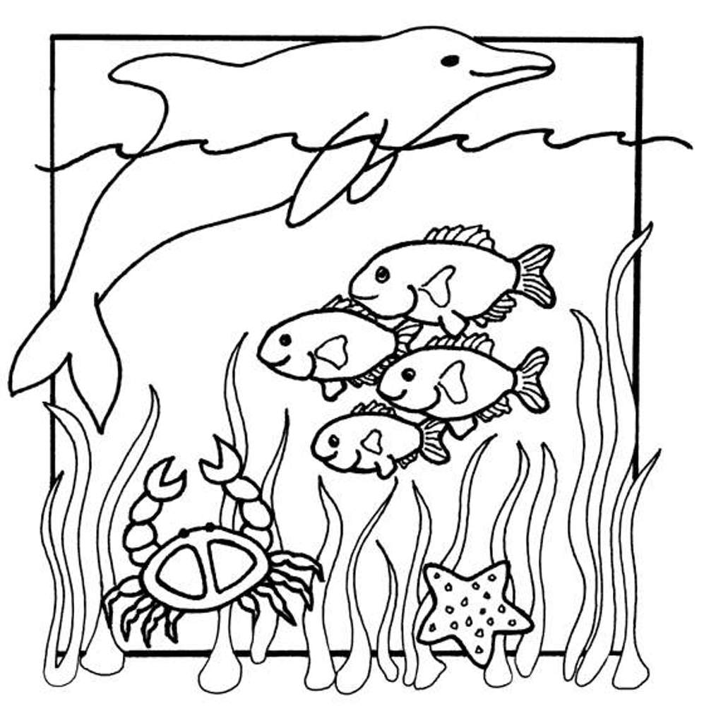 997x1007 Sea Animals Coloring Pages Printable Of Fabulous Animal Color