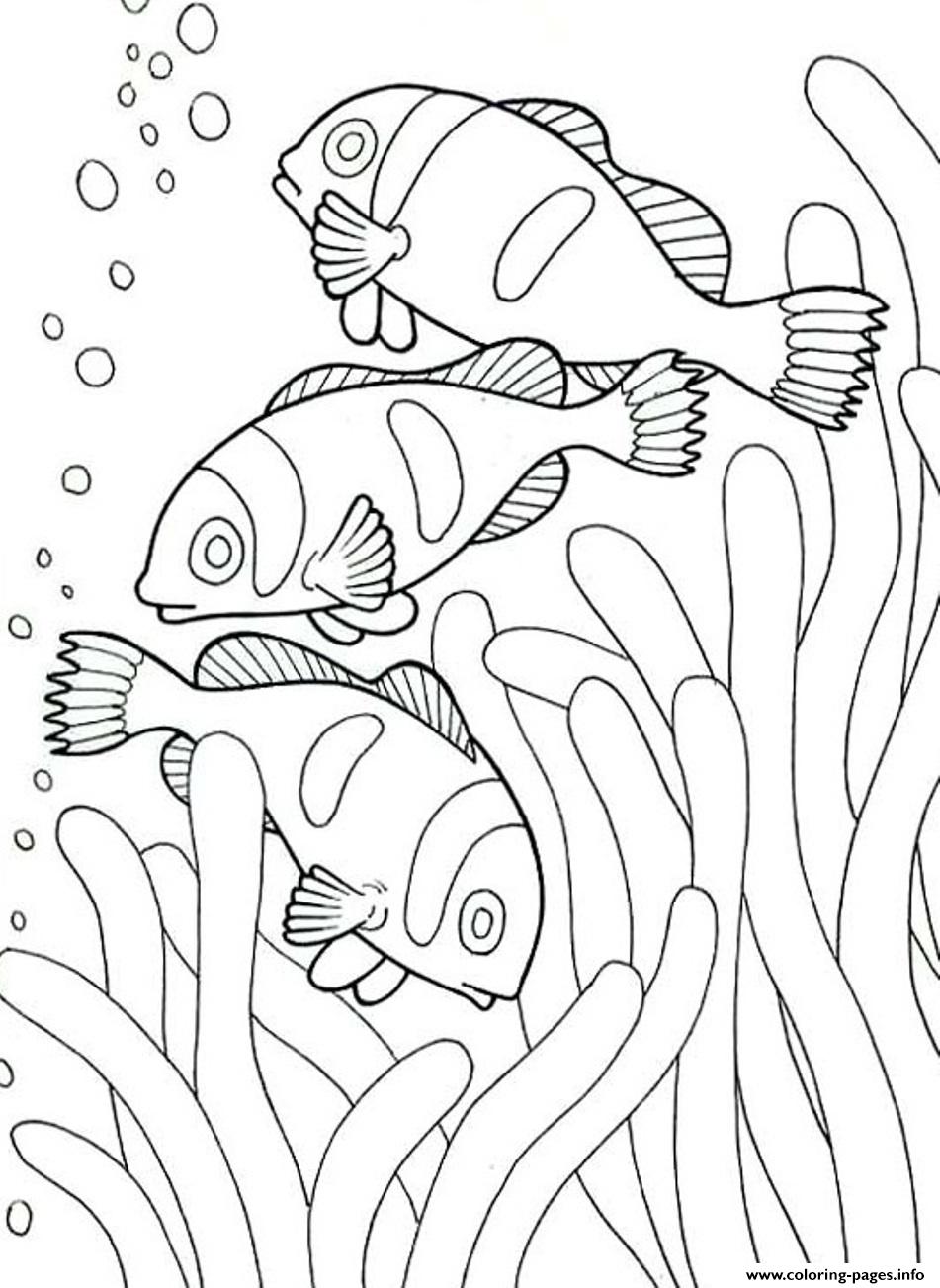 951x1303 Coloring Pages Of Sea Animals Clown Coloring Pages Printable
