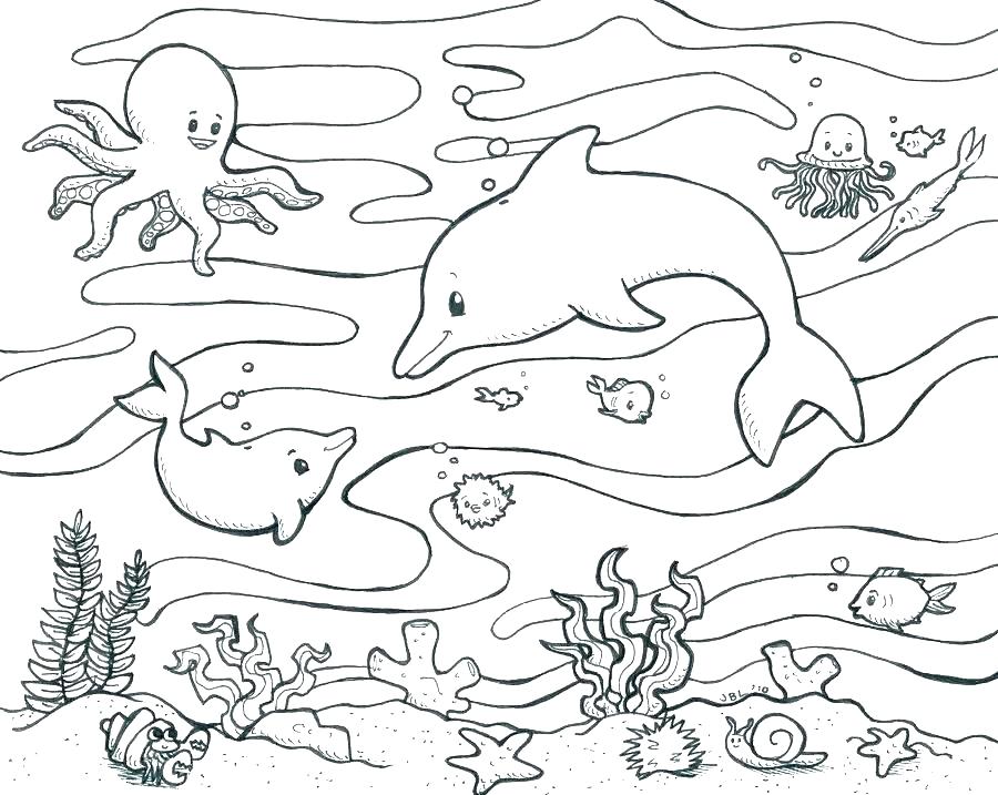 900x717 Marine Coloring Page Marine Coloring Pages Marine Coloring Pages