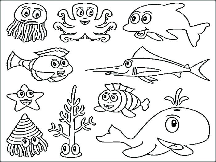 700x525 Ocean Animals Coloring Pages Printable Excellent Sea Animals