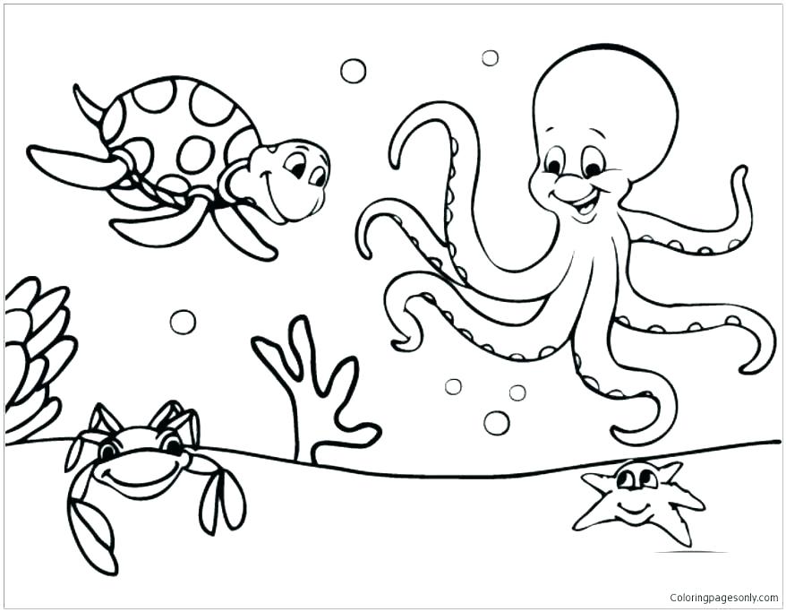 878x683 Ocean Animals Coloring Pages Underwater Animals Coloring Pages
