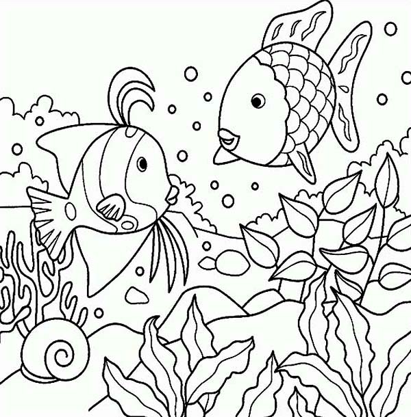 600x610 Sea Coloring Pages Free Rainbow Fish Sea Animals Coloring Page
